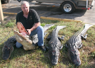 George Hell N Blazes 4 gator