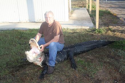 Suzie's second Florida gator this season