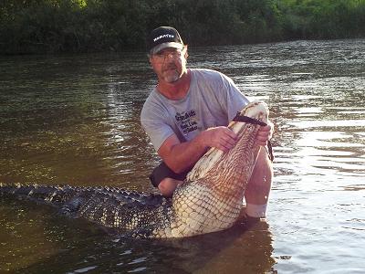 Jim 10'2" gator