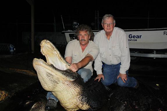 Bill and George Gator