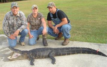 Terry Jones South Carolina gator 2010