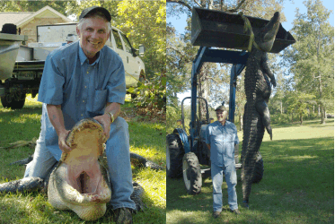 Terry Shepard South Carolina gator 2011