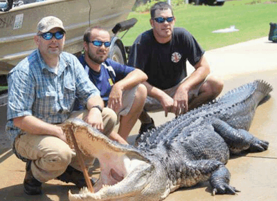 Alabama gator taken by Keith Rosetta